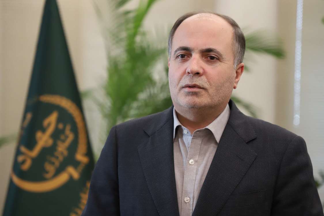 نوری قزلجه